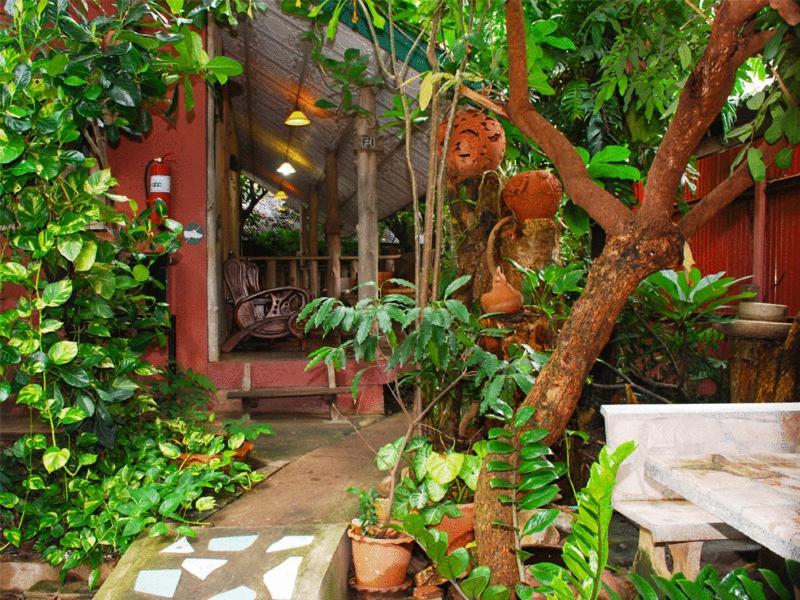 Sukhothai Guest House Phòng bức ảnh